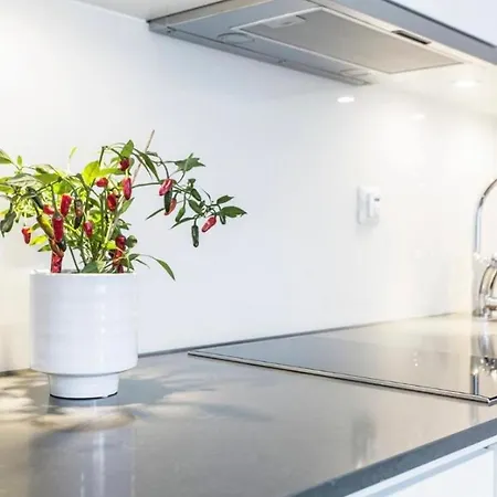 Appartamento Comfort Deluxe In Old Town Stettino